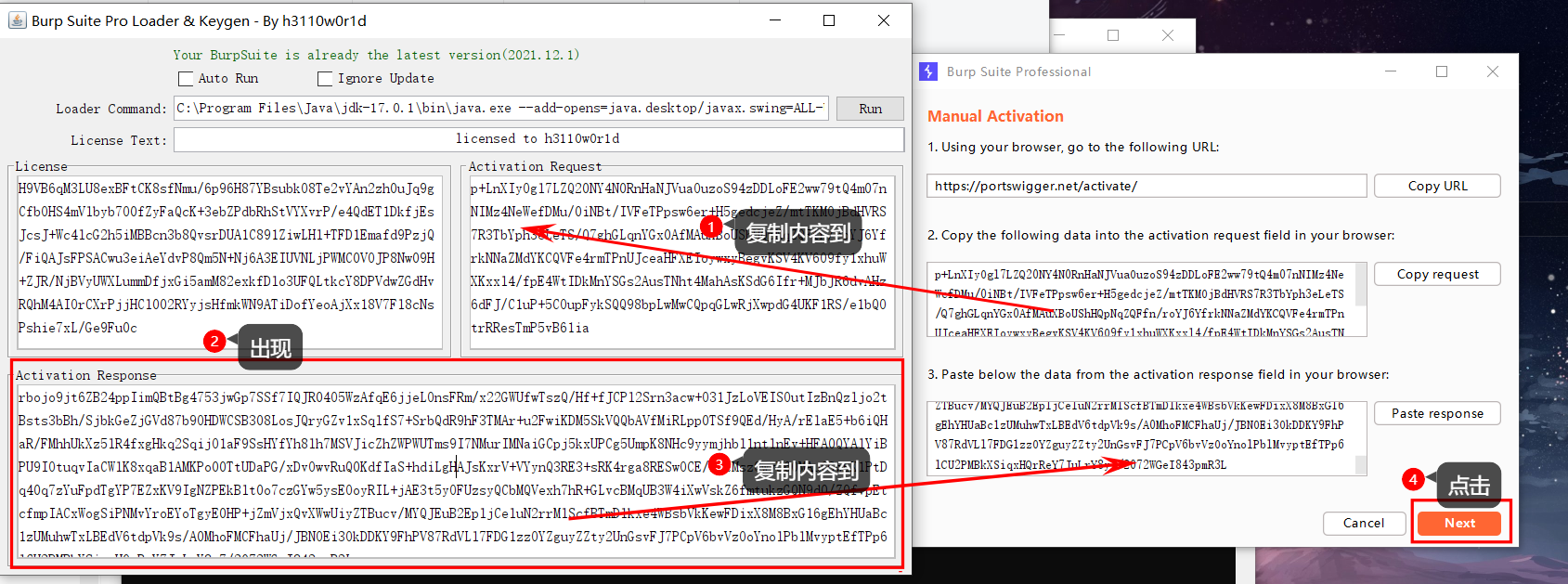 image-20220120232030829
