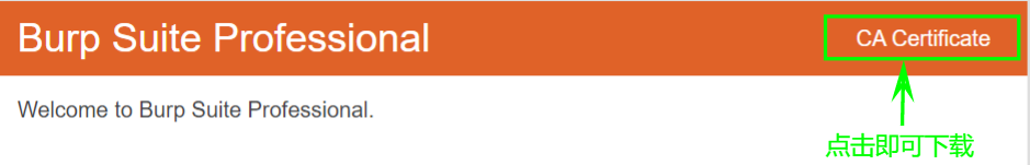 image-20220126211557416